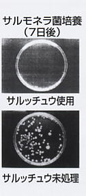 不快害虫忌避剤　ｻﾙﾁｭｳ　効果写真2